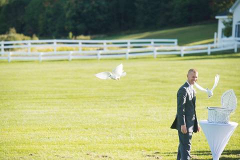 Wedding Doves for Release by the Bride & Groom