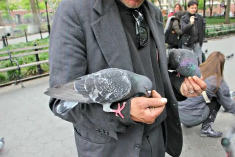 Photos: Meet The Birdman Of Washington Square Park