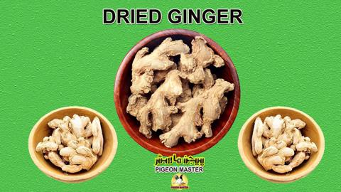 Use Of Dried Ginger To Increase Pigeon Flying Time: