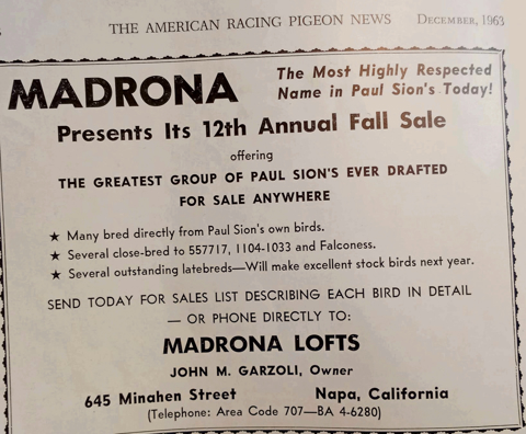 Madrona Lofts