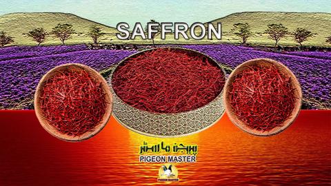 Saffron Herb